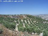 Oppidum Cerro Bollero