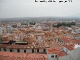 Desde la azotea del Palacio de Villardompardo