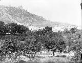 Foto antigua. Desde la Huerta del Poyo