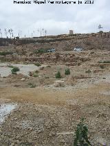 Cerro del Molinete. 