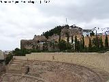 Cerro de la Concepcin. 