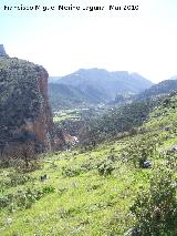 Salto de la Brincola. 