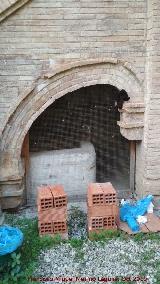 Carniceras Pblicas. Fuente
