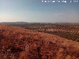 Oppidum Cerro Guinea. Vistas hacia Cerro Largo