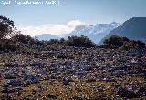 Cerro de los Morteros. Lapiaz