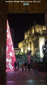 Palacio de la Diputacin. Vistas hacia la Catedral de Jan desde la puerta