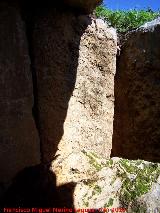 Dolmen del Collado de los Bastianes. Piedra V