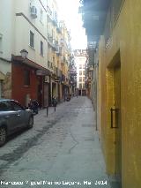 Calle Chinchilla