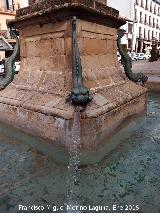 Fuente de la Estrella. Cao