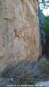 Pinturas rupestres del Paso del Canjorro I. Pared donde se encuentran las pinturas