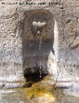 Fuente del Arrabalejo. Cao