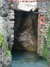 Cueva de los Baos. Saliendo agua de ella y produciendo el nacimiento del Arroyo de los Baos