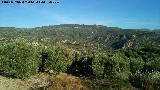 Cerro del Viento. 