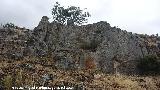 Pinturas rupestres del Cerro Veleta. Pea donde se encuentran las pinturas