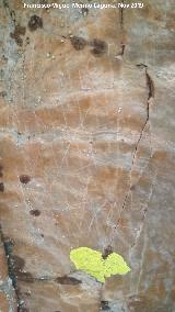 Pinturas rupestres y grabado del Cimbarrillo. Grabado reticulado
