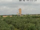 Torre de Perdigones La Tortilla. 