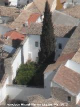 Iglesia de la Santa Cruz. Lugar donde se encontrara