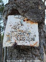 Control de Siete Fuentes. Antigua se�al de Peligro de incendios devorada por la corteza de un �rbol