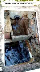 Pilar del Tejuelo. Nacimiento