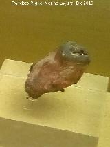 Cstulo. Poblado de la Muela. Fragmento de un animal cermico. Museo Arqueolgico de Linares