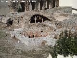 Termas Romanas de la Carrera