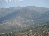 Cerro de la Matilla. Desde el Cerro de las Canteras, al fondo el Almadn