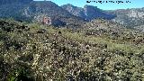 Mirasierra. Vistas hacia el Cerro Veleta