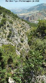 Barranco de la Mata. 