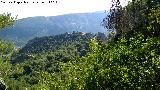 Barranco de los Corzos. Vistas