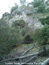 Puerto de la Senda. Paredes rocosas