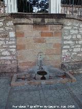 Fuente de la Yedra. 