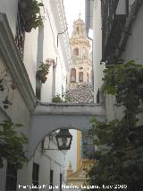 Calleja de las Flores. 