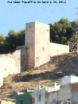 Muralla de Jan. Torren de Vendrines. 