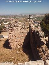 Muralla de Jan. Torren Pentagonal. 