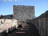 Castillo de Salobrea. Torre Vieja. 