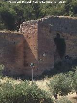 Muralla de Jan. Torren Norte XI. 