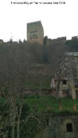 Hotel del Reuma. Vistas de la Alhambra