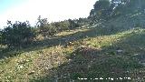 Oppidum del Cerro de Santa Catalina. Con la muralla medieval al fondo