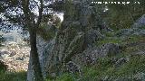 Cerro de Santa Catalina. Paredes rocosas del la ladera norte