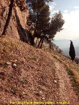 Cerro de Santa Catalina. Paredes rocosas del sur