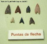 Museo Provincial. Puntas de flecha