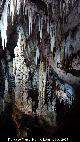 Cueva de los Murcilagos