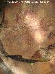 Pinturas rupestres de la Graja de Miranda I