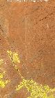 Pinturas rupestres y grabados de la Graja de Miranda II