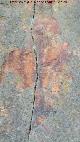 Pinturas rupestres del Arroyo del Batn