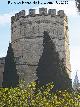 Alc�zar de Jerez. Torre Octogonal