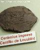 Historia de Castillo de Locubn