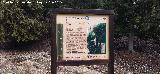 Cartel en la Casa Forestal El Sacejo Sendero Cazorla - Refugio C.F. Sacejo. Cartel en la Casa Forestal El Sacejo