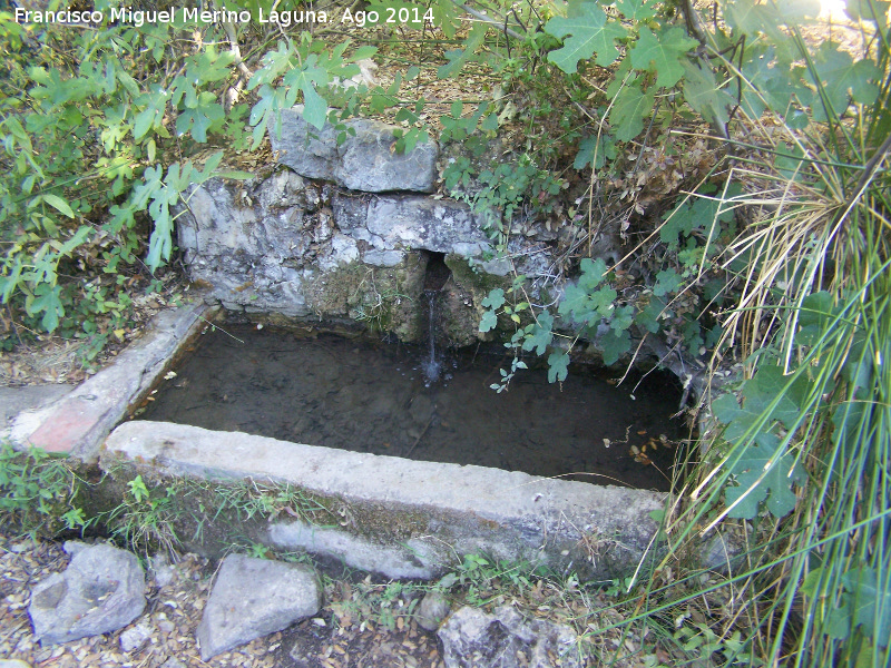 Fuente Bermeja - Fuente Bermeja. 