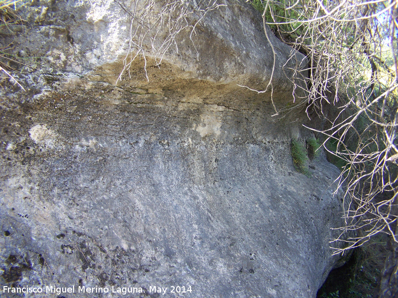 Cerro de la Condesa - Cerro de la Condesa. 